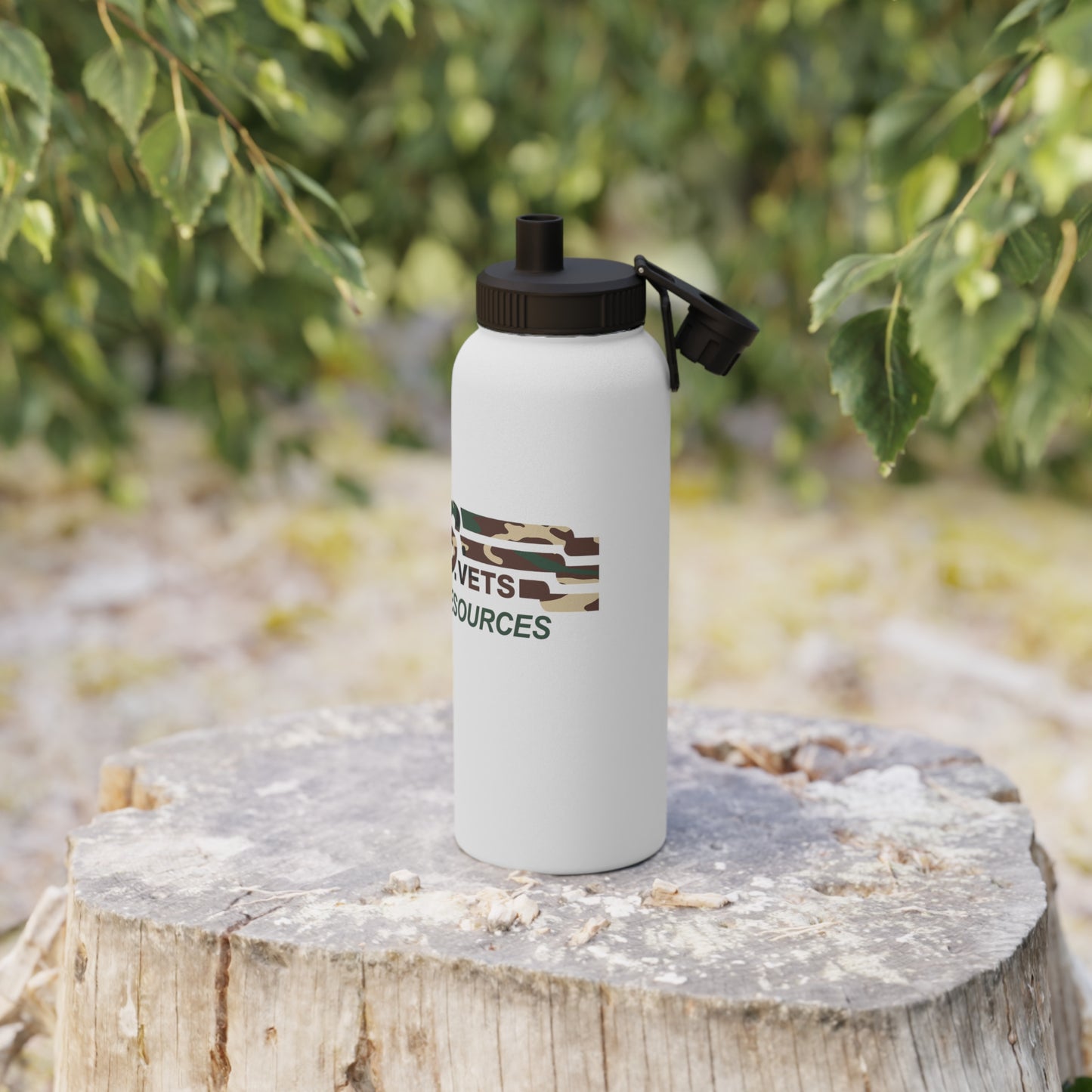 Stainless Steel Water Bottle, Sports Lid